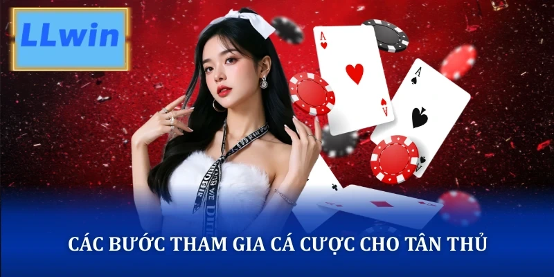 Các bước tham gia cá cược Evolution cho tân thủ